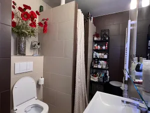 Prodej bytu 3+kk, Karlovy Vary, Západní, 59 m2