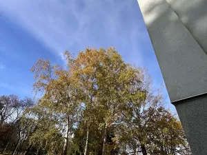 Prodej bytu 3+kk, Karlovy Vary, Západní, 59 m2