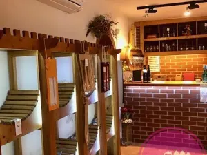 Pronájem obchodního prostoru, Olomouc, Karolíny Světlé, 55 m2