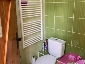 Pronájem obchodního prostoru, Olomouc, Karolíny Světlé, 55 m2