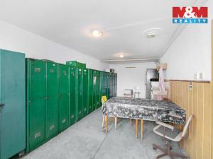 Prodej obchodního prostoru, Nýřany, 1029 m2