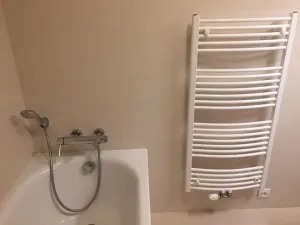 Pronájem bytu 2+kk, Olomouc, Dlouhá, 69 m2