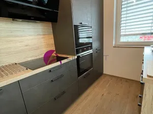 Pronájem bytu 3+kk, Olomouc, Šantova, 94 m2