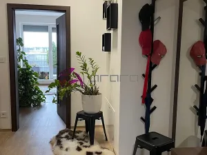 Pronájem bytu 3+kk, Olomouc, Šantova, 94 m2