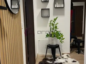 Pronájem bytu 3+kk, Olomouc, Šantova, 94 m2