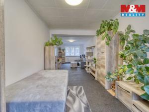 Prodej bytu 1+1, Habartov, Raisova, 50 m2