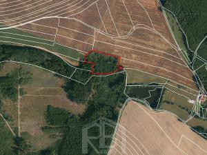 Prodej lesa, Žirovnice, 9999 m2