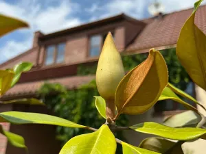 Prodej rodinného domu, Dobřejovice, Nad Mlýnským Rybníkem, 180 m2