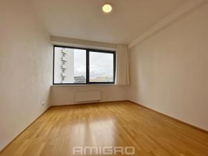 Pronájem bytu 2+kk, Brno, Mezírka, 78 m2