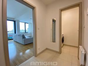 Pronájem bytu 2+kk, Brno, Mezírka, 78 m2