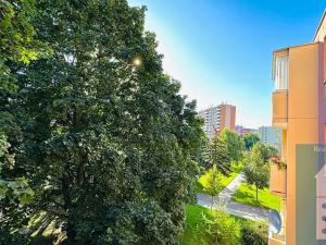 Pronájem bytu 1+1, Kroměříž, Denkova, 36 m2