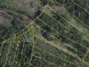 Prodej lesa, Mysletice, 7177 m2