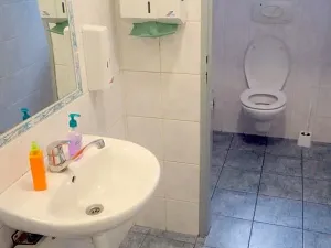 Prodej komerční nemovitosti, Volyně, 450 m2