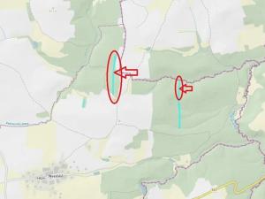 Prodej lesa, Ločenice, 16414 m2