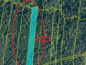 Prodej lesa, Ločenice, 16414 m2