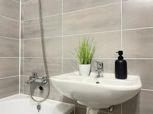 Pronájem bytu 1+1, Litvínov, Bezručova, 45 m2