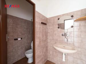 Prodej obchodního prostoru, Králíky, 5. května, 519 m2