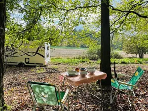 Prodej lesa, Postupice, 1363 m2