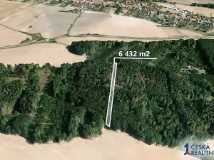 Prodej podílu lesa, Lukovany, 7046 m2