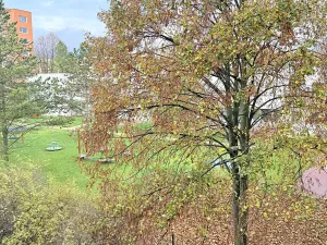 Pronájem bytu 2+kk, Liberec, Vackova, 42 m2