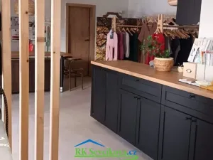 Prodej obchodního prostoru, Brno, Chvalovka, 55 m2