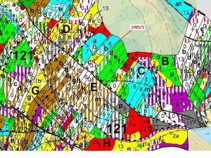 Dražba lesa, Veverské Knínice, 3926 m2
