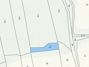 Prodej lesa, Neurazy, 727 m2