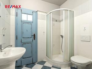 Prodej komerční nemovitosti, Pavlov, 245 m2