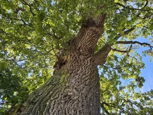Prodej rodinného domu, Kostelec nad Vltavou, 243 m2
