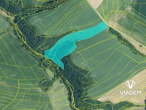 Prodej podílu lesa, Kaceřov, 4818 m2