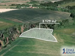Prodej podílu lesa, Suchá, 1564 m2