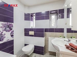 Prodej vícegeneračního domu, České Velenice, Komenského, 247 m2