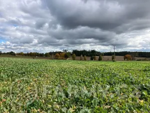 Prodej pole, Arneštovice, 51160 m2