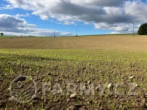 Prodej pole, Arneštovice, 51160 m2