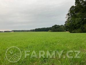 Prodej podílu pole, Dolní Roveň, 62359 m2