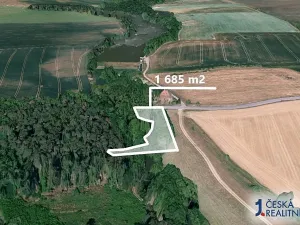 Prodej podílu lesa, Dalešice, 1263 m2