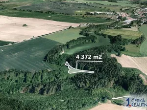 Prodej podílu lesa, Žirovnice, 1457 m2