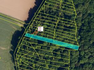 Dražba lesa, Hradčany-Kobeřice, 975 m2