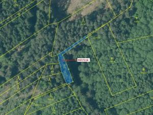 Dražba lesa, Netřebice, 295 m2