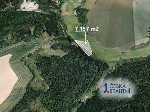 Prodej podílu lesa, Velká Bíteš, 1431 m2
