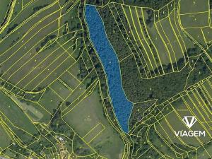 Prodej podílu lesa, Vranová Lhota, 1741 m2