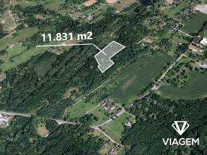 Prodej podílu lesa, Doubrava, 8873 m2