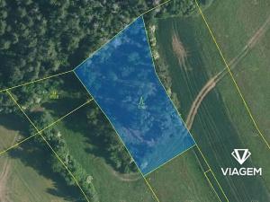 Prodej podílu lesa, Kuřimská Nová Ves, 1166 m2