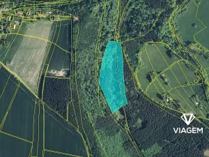 Prodej podílu lesa, Sudislav nad Orlicí, 21329 m2