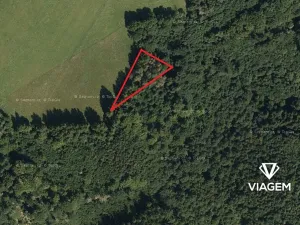 Prodej podílu lesa, Kosov, 548 m2