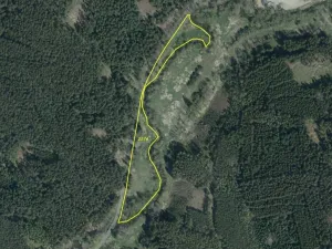 Dražba louky, Kladruby, 42411 m2