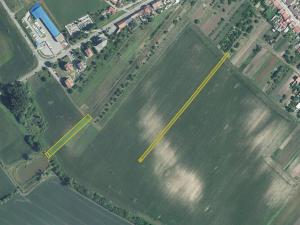 Prodej pole, Starý Poddvorov, 9028 m2