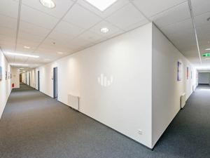 Pronájem kanceláře, Praha - Nové Město, Václavské náměstí, 325 m2