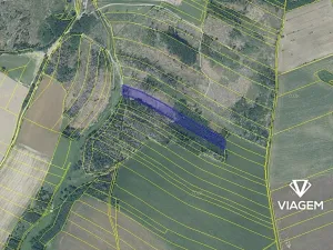 Prodej podílu lesa, Věžnice, 448 m2