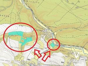 Prodej podílu lesa, Chlum, 8737 m2